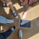 장미사 | 22.04.16 뮤지컬 데스노트 관극 후기