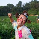 돼지방 Daum카페