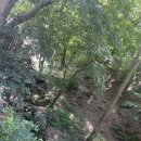 정혜사 | 전남 #순천 #정혜사 #황금팥죽 #선암사 #템플스테이 1일차