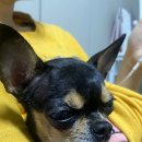 세참연회 이미지
