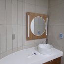 제주애단비 마주 이미지