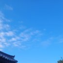 향촌민박 | 아산명소 외암민속마을 민박 리뷰