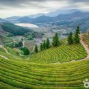 (주)다원코리아 이미지