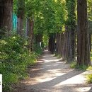 안정카센터 이미지