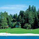 J'S골프클럽 이미지