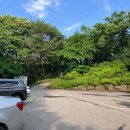 자생식물원 | 양주 애견동반 장흥자생식물원 솔직후기 (주차, 입장료)