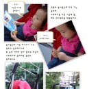 스위프트랜드 이미지