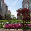 한림부동산공인중개사사무소 이미지