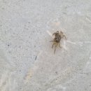 천사퍼플민박 이미지