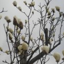 서금방파제 이미지