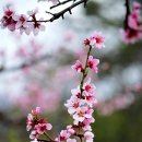 기복농장 이미지