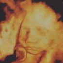 꽁냥이놀이터 이미지