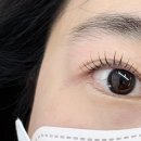 쿠라르눈썹속눈썹네일 이미지