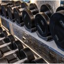 피그말리온짐 프리미엄 이미지