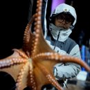 뽑고 또 뽑고 이미지