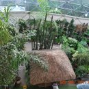 용구니아지트 이미지