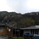 정이품산장 Daum카페