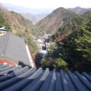 양곡초교 이미지