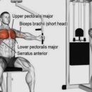 크라우드짐 이미지