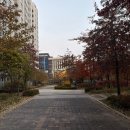 집을 카페처럼 구움과자 홈베이킹(주간)(11월) | 먼가 바빴던 한 주,,(11월 3주차)