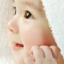 플랜휴