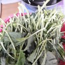 미석농장 이미지