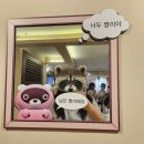 성수동 아트태그하우스 9월 팝업스토어 친구따라 도구리 짤줍전 다녀온 후기, 굿즈 및 직장인짤...
