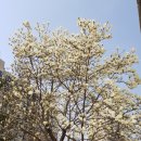 구인당약국 이미지