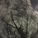 연세해피이비인후과의원 이미지