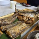 용왕 | 태안 생선구이맛집 용왕님밥상 솔직후기