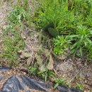 행선농장 이미지