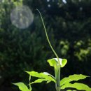 두루미 농원 이미지