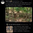 좋은 일을 해서 축복 받은 듯한 도시.jpg 이미지