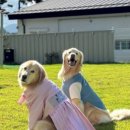 에버그린 펜션 이미지