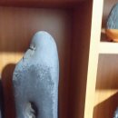 김동환농장 이미지