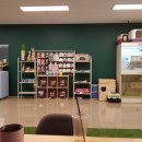 캣 미용실 이미지