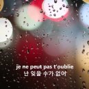 니노(nino) 이미지