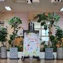 부천두리유치원 이미지