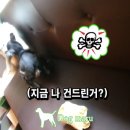 토토카페마루