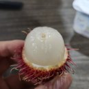 박**