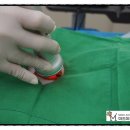 미드미동물병원 이미지