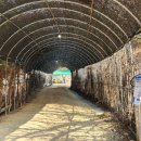 지석민박 이미지