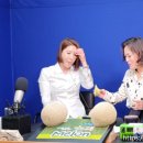 서지오헤어