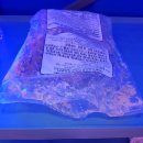 광안1-306 이미지