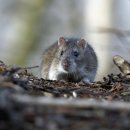 남부 제2화장실 이미지