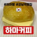 유튜버 JM님이 운영하시는 강남역핫플 줄 서서 먹는 하마커피 하마빵 후기