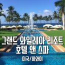 성원 그랜드쇼핑 앞 | [하와이 신혼여행] 마우이 숙소 그랜드 와일레아 리조트 후기 룸서비스, 수영장