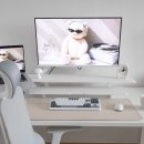 보쉬 | 핏쳐 모션데스크 추천 보쉬모터 높이조절책상 B1 후기