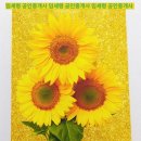 YB공인중개사사무소 이미지