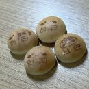 향남고등학교 | 엉망진창이어도 꼭 살아 있자